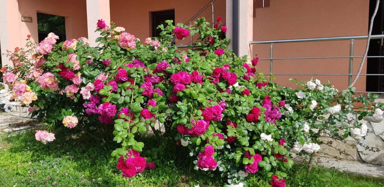 Villa Persik Utjeha Kültér fotó