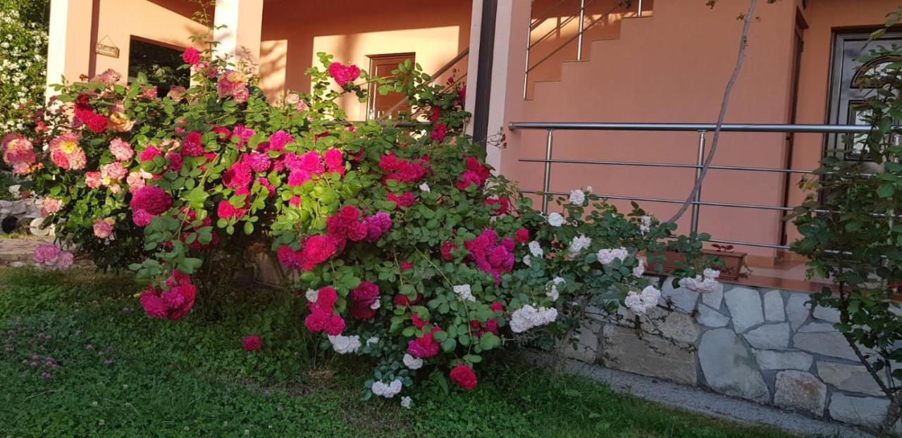 Villa Persik Utjeha Kültér fotó